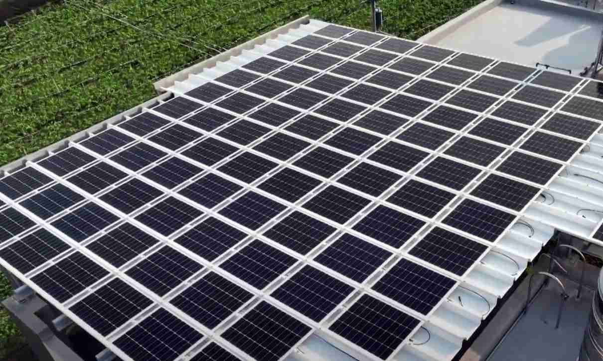 z6尊龙SunSteel光电浪板升级双玻结构，，，，以提升机械负载强度及气候耐候度，，，，可广泛运用于多元场域